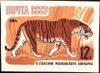 The Soviet Union 1964 CPA 3046 stamp (Centenary of Moscow Zoo. Siberian tiger or Amur tiger (Panthera tigris tigris)).jpg