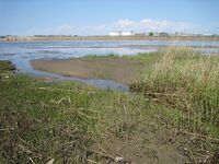 Залив и устье реки Красненькой.jpg