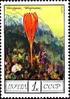 Почтовая марка СССР № 4649. 1976. Цветы гор Кавказа.jpg