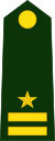 Junior Captain