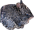 Caprolagus hispidus Chitwan Rediscovery 2017 transparent.png