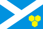 Flag of Uinskoe (Perm krai).svg