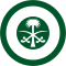 Roundel of Saudi Arabia.svg