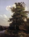 Savrasov oaks.jpg