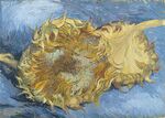 Two sunflowers.jpg