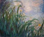 Yellow Irises by Claude Monet, Musée Marmottan Monet.JPG
