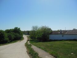 Barabanovo 1.JPG