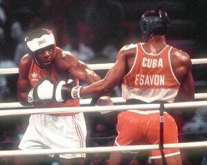 Boxing at the 1987 Pan American Games.JPEG