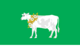 Флаг