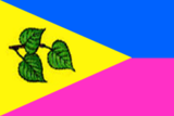 Флаг[d]