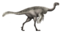 Gigantoraptor Restoration (flipped).png