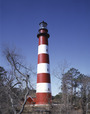 Lighthouse on Assateague Island, Virginia LCCN2011630346.tif