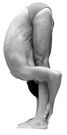 Maha padahastasana.jpg