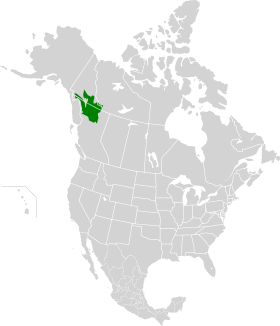 Northern Cordillera forests map.svg