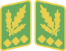 ORPO Generaloberst der Polizei collar tabs 42-45.svg