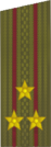 погоны 1969