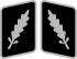 SS-Standartenführer Collar Rank.svg