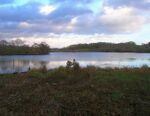 Weir Wood Reservoir - geograph.org.uk - 625023.jpg