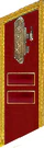 петлица 1937