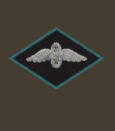 нарукавный знак 1922