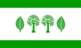 Флаг