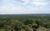 Kakamega forest view.jpg