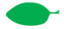 Leaf morphology elliptic.png