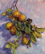 Monet - branch-of-lemons-1.jpg