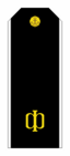 RAF N R1SM 2010parad.png