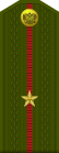 Russia-Army-OF-1a-1994-field.svg