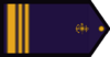 SI-ARA.png