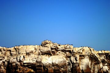 Большой Бакланий остров