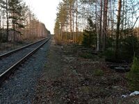 Ст. Тулокса.jpg
