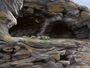 Cueva Fell Painting.jpg