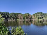 Dachnoe lake 20220820 03.jpg