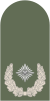 Dienstgrad Bundeswehr Heer 251 Major.svg