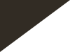 F1 black and white diagonal flag.svg