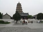 Giant Wild Goose 3.jpg