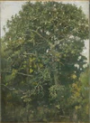 Landscape. Oaks in Abramtsevo by Vasnetsov (1881, Abramtsevo).jpg