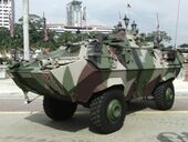 Malaysian Condor.jpg