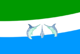 Флаг