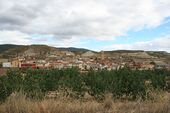 Орера