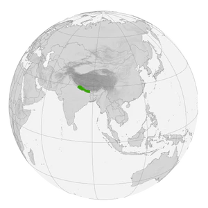 Непал на карте мира