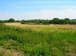 Fields, Burgh Hill - geograph.org.uk - 513343.jpg