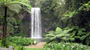 Millaa Millaa Falls 2 - Atherton Tableland, Queensland, Australia.jpg