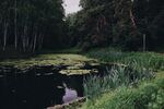 Moscow, Samotyoka River pond (19157936216).jpg