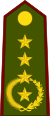 Paraguay-Army-OF-9.svg