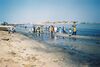 Senegal River Saint Louis.jpg