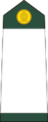 Sri Lanka-army-OF-1d.svg