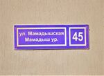 Казань, посёлок Большие Клыки, улица Мамадышская, 45 (адресная табличка).JPG